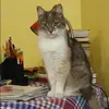Отзыв от Дина Щукина